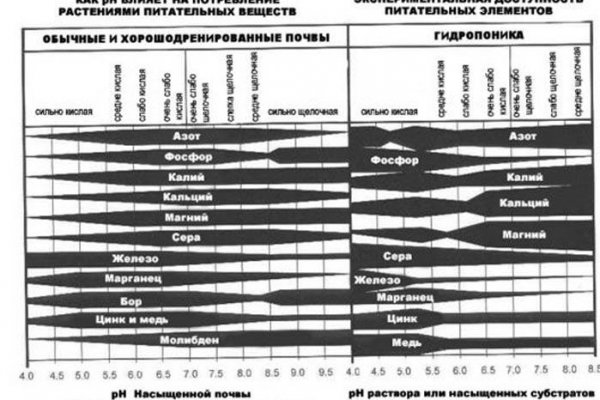 Kraken зеркало krakens13 at