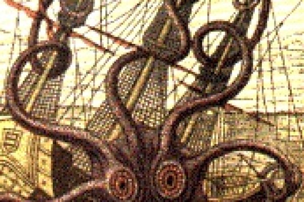 Kraken 6at